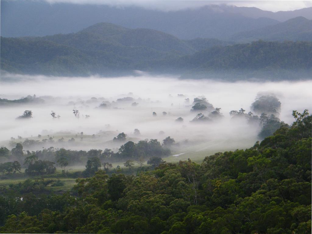 Willa Cloud 9 Daintree Zewnętrze zdjęcie