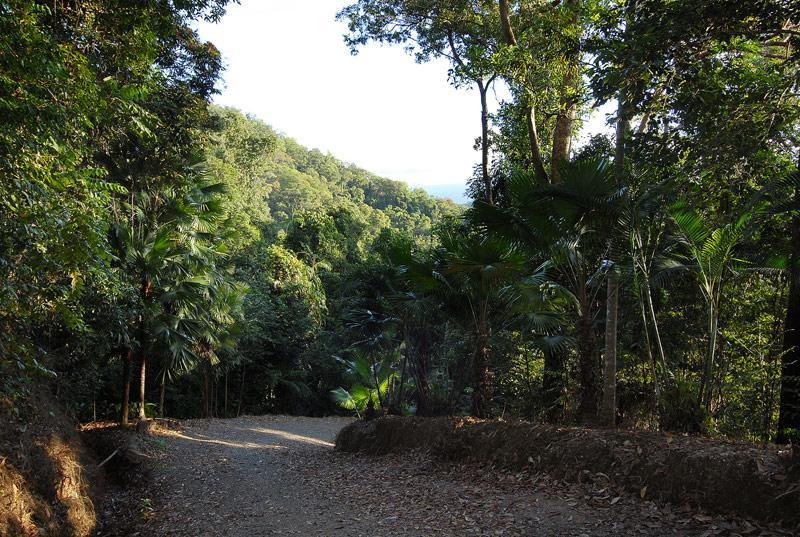 Willa Cloud 9 Daintree Zewnętrze zdjęcie